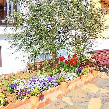 Hotel Shima Chichukaimura Εξωτερικό φωτογραφία